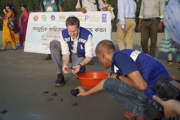 Stefan Liller, UNDP Bangladesh representative, gently releases the young turtles from the hatchery. Credit: UNDP Bangladesh