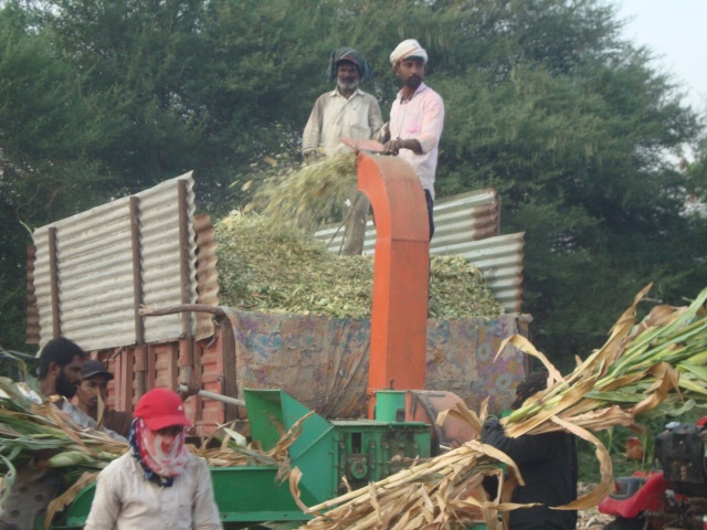 Chaff cutter at work on a farm. Credit: Supplied