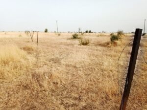 Desertification is causing land degradation in the Sahel. Credit: Promise Eze/IPS