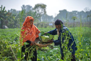 Efficiency is the Enemy Why Resilient Food Systems Require Waste and Friction
