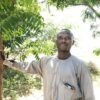 Jabiru Muhammed stands beside a tree planted as part of the Great Green Wall project in his village in Jigawa State. Credit: Promise Eze/IPS