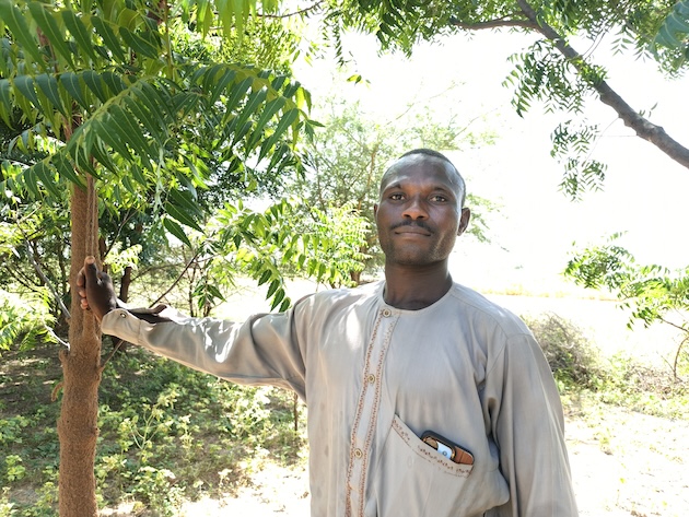 Jabiru Muhammed stands beside a tree planted as part of the Great Green Wall project in his village in Jigawa State. Credit: Promise Eze/IPS