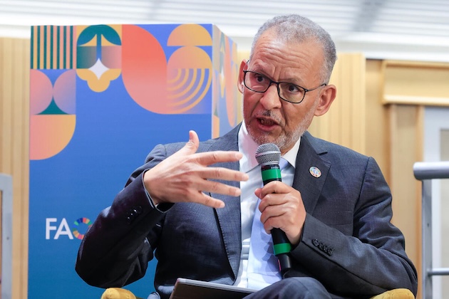 Mohamed Manssouri, Assistant Director-General and Director of the Food and Agriculture Organisation (FAO) Investment Centre. Credit: FAO