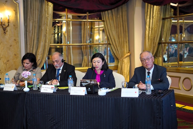 Meeting chairs set the tone, demanding asking for action, not new pledges, at a recent two-day forum in Cairo. Credit: APDA