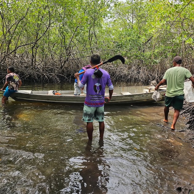 The Tremembé da Barra do Mundaú Indigenous Land protects 27 km of mangrove forest and 8 km of coastline. Credit: Samuel Tremembé
