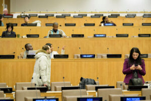 Why the UN NGO Committee is the Only Thing Saving the United Nations from Total Collapse
