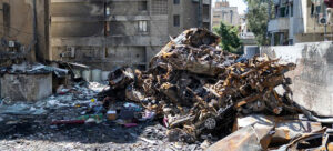 The Global Epidemic of Violence in an Age [...] <a class=