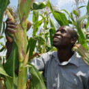 Seeding the future