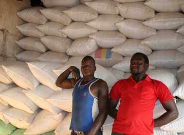 Africa Needs a Radical Plan to Tackle 15M Youth Job Crisis