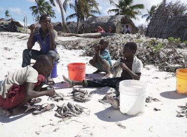 Fossil Fuel Wealth Fails to Deliver Development in Africa – Report