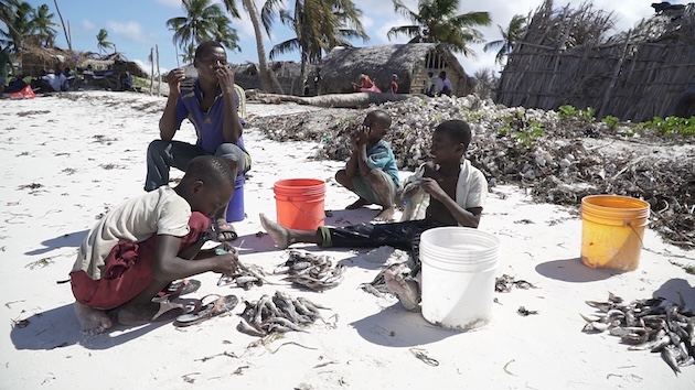 Children dry fish in the sun at a village in the natural gas-rich Afungi peninsula of the northern Mozambique region. In countries including Nigeria, Equatorial Guinea, and Mozambique, gas is extracted and exported to serve external markets, while domestic energy needs go unmet. Photo courtesy of Justica Ambiental