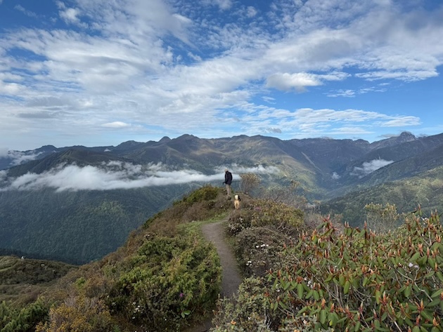 A hiker admires the view in the Khangchendzonga National Park. Credit: Shering Uden, KCC.