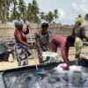 Cécile Koffi and her colleagues collect salt from concrete pans on the beach in rural Benin. Credit: Neha Banka/IPS