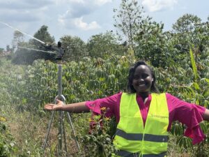 Renewables, Farmer Aggregation Offer Solutions to Africa’s Post-Harvest Losses