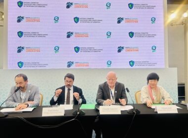 GEF Pushes Innovation, Blended Finance Ahead of the Eighth Assembly