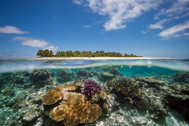 The reef surrounding Namotu Island, Fiji, has experienced serious coral bleaching caused by increasing ocean temperatures. Credit: Beau Pilgrim / Climate Visuals