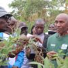 How Farmers Are Learning About Restoring Soils and Scaling Agroecology in Kenya