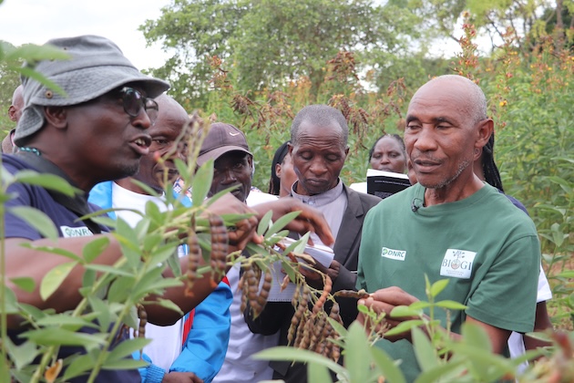 Ferdinand Wafula (left) explains a point to farmers during an exchange visit in Makueni, Kenya. Credit: Isaiah Esipisu/IPS