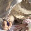 An Islamabad High Court ruling awarding a divorced woman an equal share of assets acquired has sparked debate in Pakistan. Credit: Handout