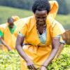Feeding Africa: Women Farmers Key to Ending Hunger
