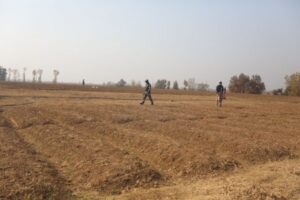 Agriculture and extreme weather pose growing challenges to food security, highlighting the need for preparedness, research and agricultural resilience.