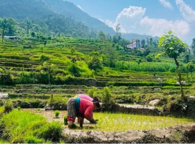 Dry Monsoon in South Asia: Looming Fears of Agricultural Loss, Extreme Heat, and Disaster