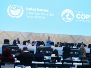Closing plenary at UNCCD COP17 in Ulaanbaatar, Mongolia. Credit: Anastasia Rodopoulou/ENB-IISD
