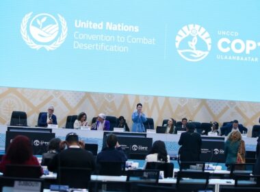 Africa’s Pastoralists Need More Than COP17’s $1.2 billion Rangelands Pledge
