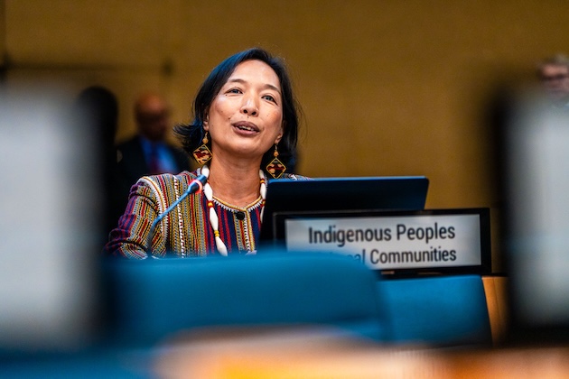 Jennifer Tauli Corpuz, of IIFB, spoke at the SBI on August 9. She called for Indigenous Peoples and local communities’ greater engagement in decision-making processes. CREDIT: IISD