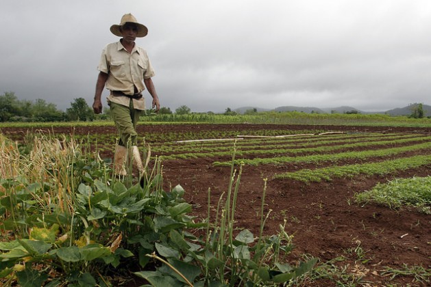 FAO highlights how South-South Cooperation is advancing agrifood transformation, sharing knowledge and strengthening food security across the Global South.