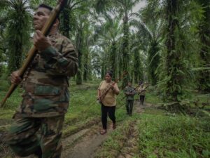 Report: 124 Land and Environmental Defenders Killed Worldwide in 2025