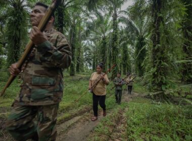 Killing of Environmental Defenders Reflects Power Struggle Over World’s Resources
