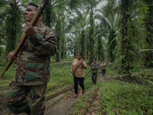 Killing of Environmental Defenders Reflects Power Struggle Over World’s Resources