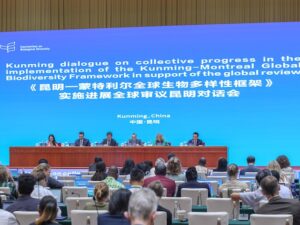 Closing plenary of the recent Kunming Dialogue. Credit: ENB-IISD/Anastasia Rodopoulou