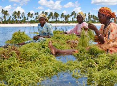 New Ocean Report Warns of Rising Seas, Ocean Heat and Acidification