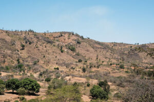 Report highlights “Drylands Dividend” investments for water-scarce African regions