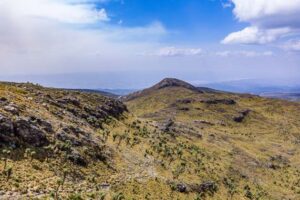 Africa rangelands are vital to climate resilience, livelihoods and biodiversity. COP17 highlighted the need for investment and community-led action.
