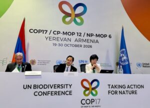 Diego Mesa, GEF CEO and chairperson, addresses media on the status of finance mobilisation at COP17. Credit: Stella Paul/IPS