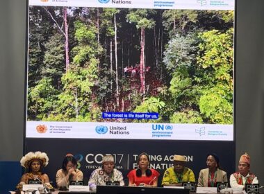 COP17 Celebrates Indigenous Leaders Amid Demand for Greater Inclusion in Biodiversity Decisions