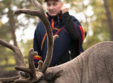 The Sámi People and Reindeer Herding – a Struggle for Sápmi’s Whole Nature