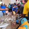 A buyer offers banknotes during a fish auction at Darajani Market in Zanzibar, where livelihoods depend on the marine life that environmental DNA (eDNA) surveys can help scientists monitor and protect. Credit: Kizito Makoye/IPS