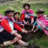 Women planting potatoes in the Peruvian Andes.  Credit: Milagros Salazar/IPS