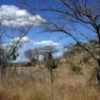 Tourism helps preserve Kruger Park in South Africa.  Credit: Public domain