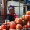 Farmers have been struggling to adjust to changing weather patterns and have seen a drop in crop production. Credit: Julius Mwelu/IRIN
