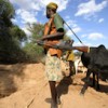 Guarding cattle in northwestern Kenya: heightened competition for water and pasture has increased armed conflict. Credit:  Siegfried Modola/IPS