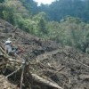 The open wounds of the Amazon. Credit: Rolly Valdivia/IPS