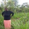 Agnes Mbuvi from Ebukanga village near Lake Victoria is one of Kenya's growing number of farmers using green "push-pull" technology.  Credit: Isolda Agazzi/IPS