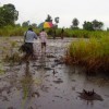Environmental damage in the Niger Delta: will a new law at least trade jobs exchange jobs for devastation? Credit:  Dulue Mbachu/IRIN