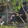 Two years after Cyclone Nargis, these children live in a makeshift hut in Shwe Bo Su village in Bogalay township, Burma. Credit: Mon Mon Myat/IPS