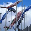 UNESCO flags replaced by fish floats for the Oceans conference.  Credit: A. D. McKenzie/IPS